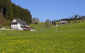 Gasthaus Pension Donishaeusle